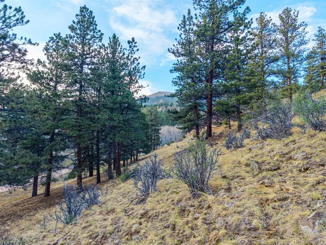 $69,000 | 156 Cline Drive East, Shawnee, CO 80475