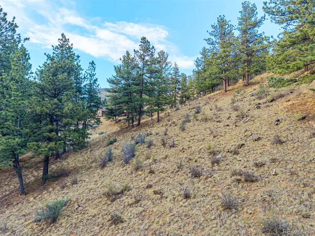 $69,000 | 156 Cline Drive East, Shawnee, CO 80475