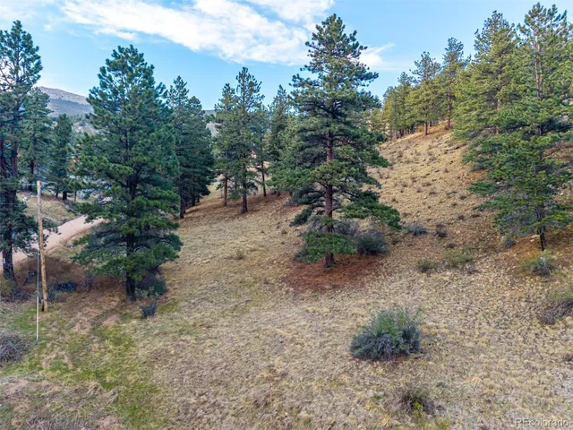 $69,000 | 156 Cline Drive East, Shawnee, CO 80475