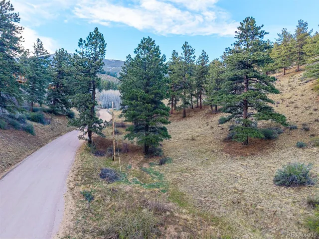 $69,000 | 156 Cline Drive East, Shawnee, CO 80475