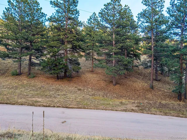 $69,000 | 156 Cline Drive East, Shawnee, CO 80475