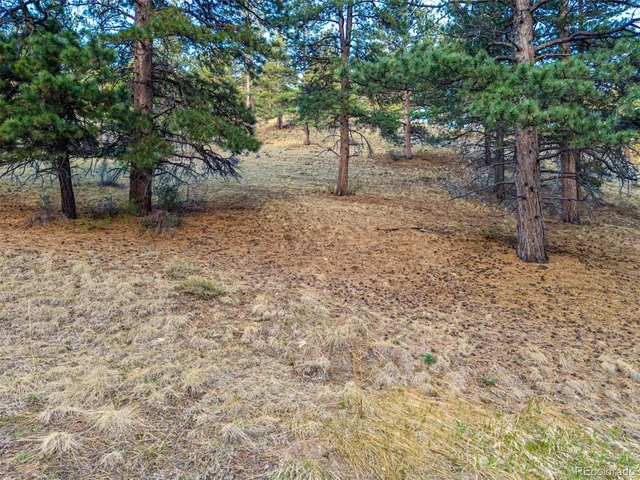 $69,000 | 156 Cline Drive East, Shawnee, CO 80475