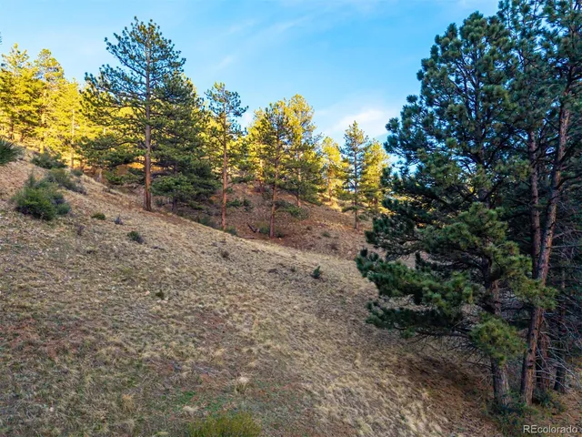 $69,000 | 156 Cline Drive East, Shawnee, CO 80475