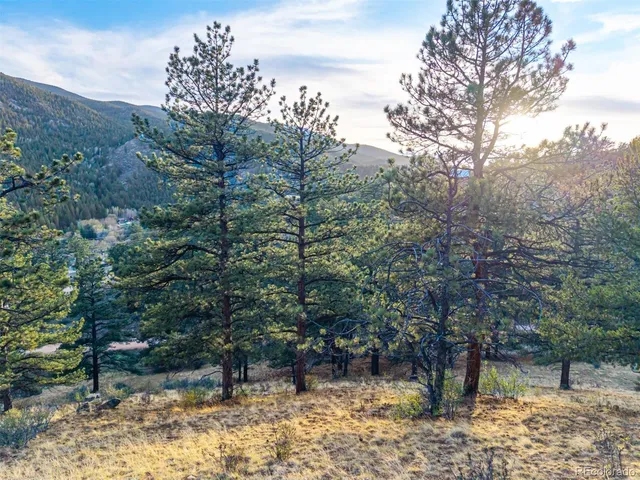 $69,000 | 156 Cline Drive East, Shawnee, CO 80475