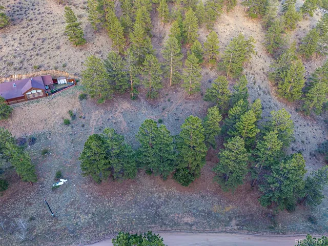 $69,000 | 156 Cline Drive East, Shawnee, CO 80475