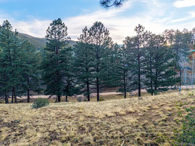 $69,000 | 156 Cline Drive East, Shawnee, CO 80475