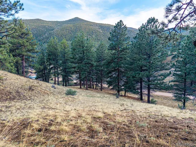 $69,000 | 156 Cline Drive East, Shawnee, CO 80475