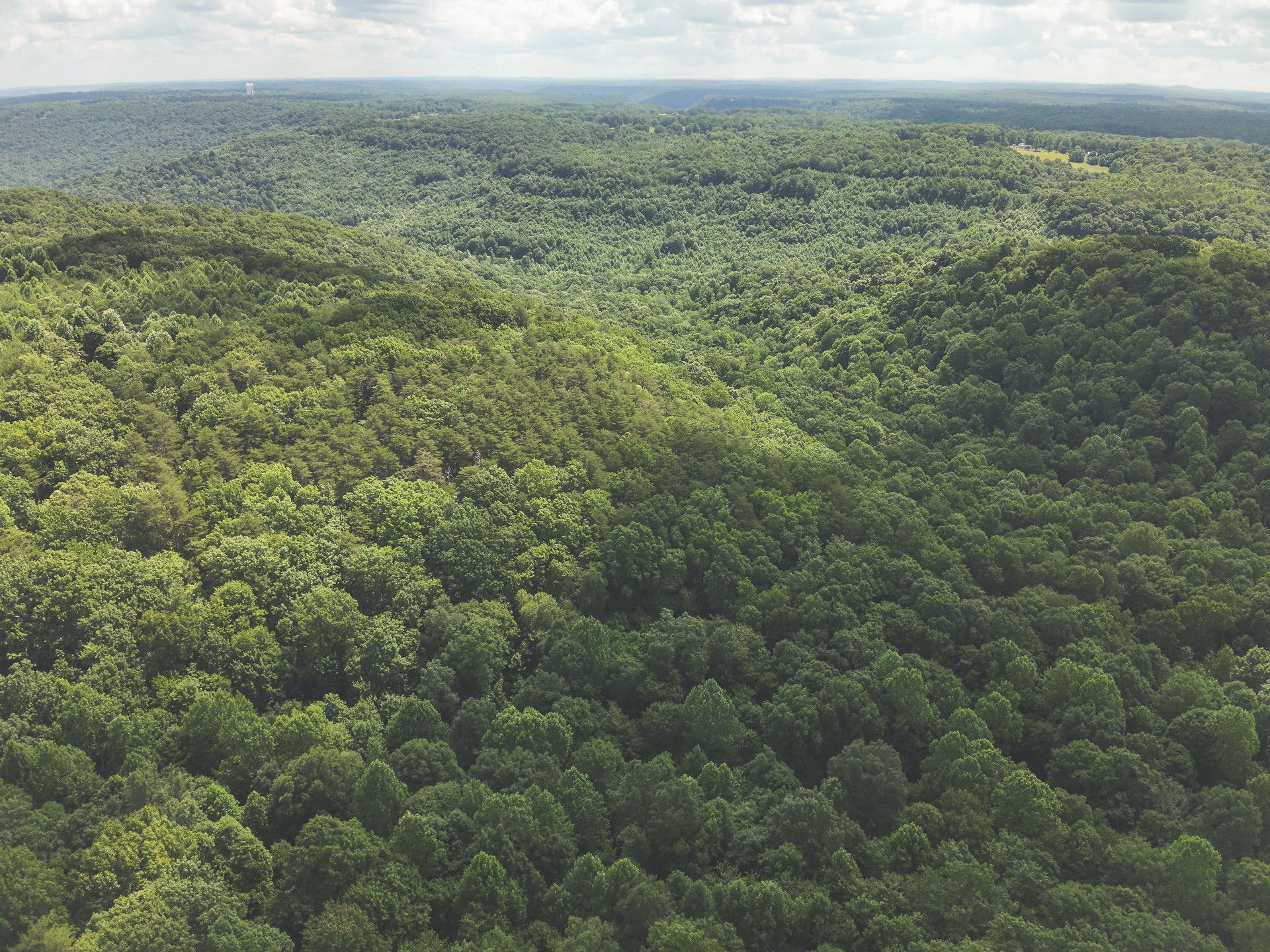 0 Long Fork Creek Road Spencer, TN 38585 - Photo 24 of 45