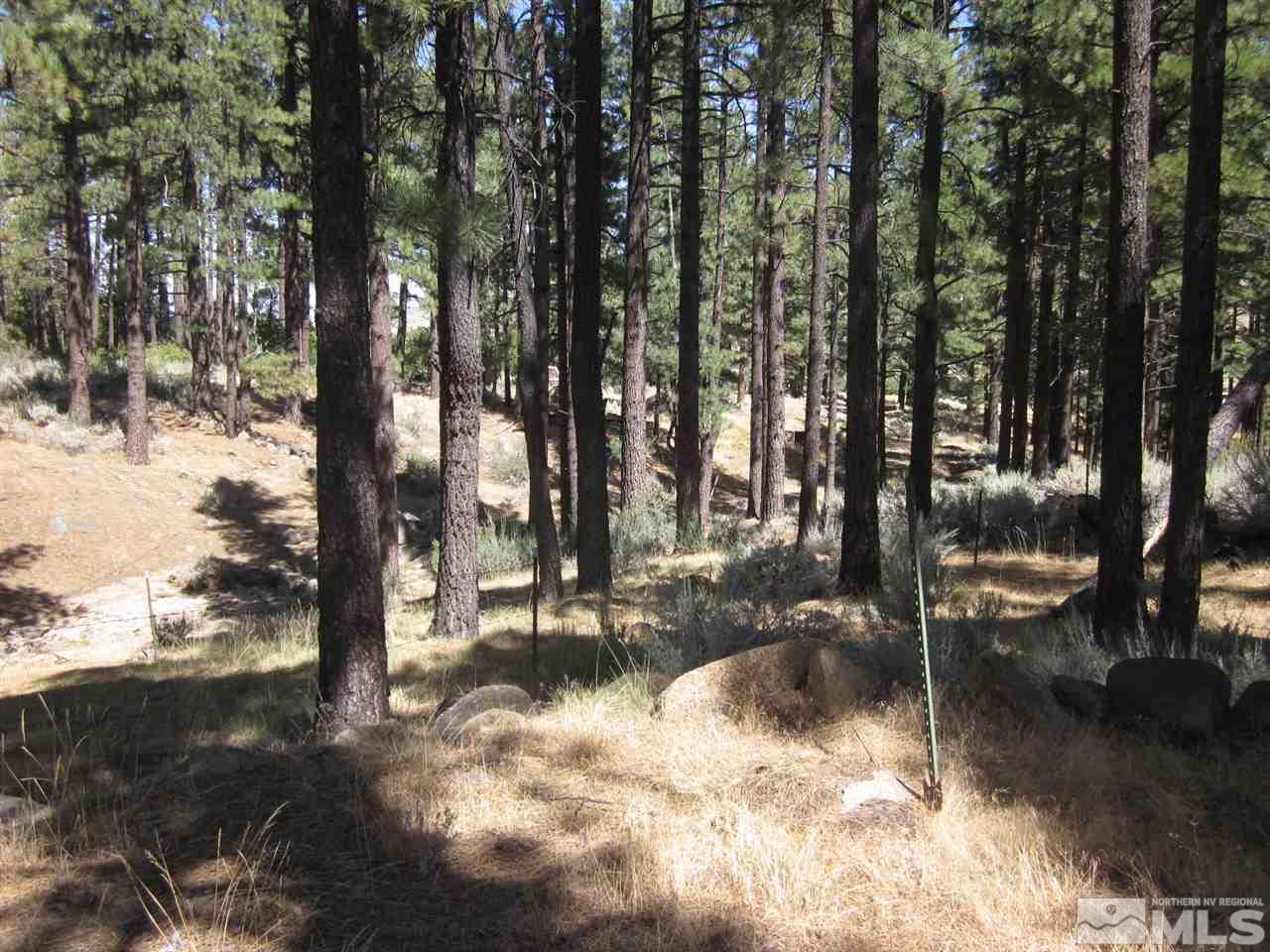 16231 Callahan Road Reno, NV 89511 - Photo 3 of 4 Photo 3