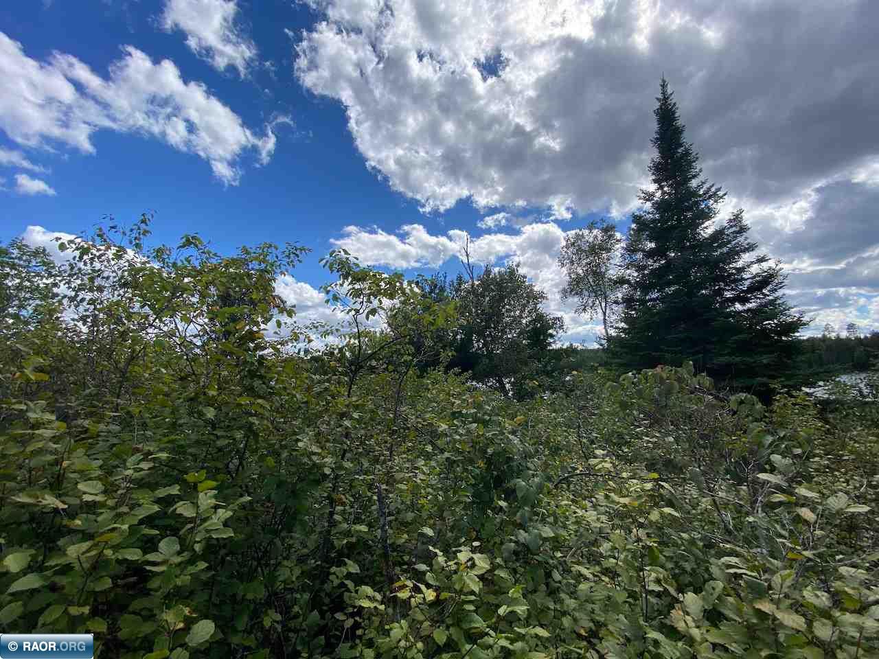Tbd Lot 9 Wilderness Way Road Orr, MN 55771 - Photo 19 of 27