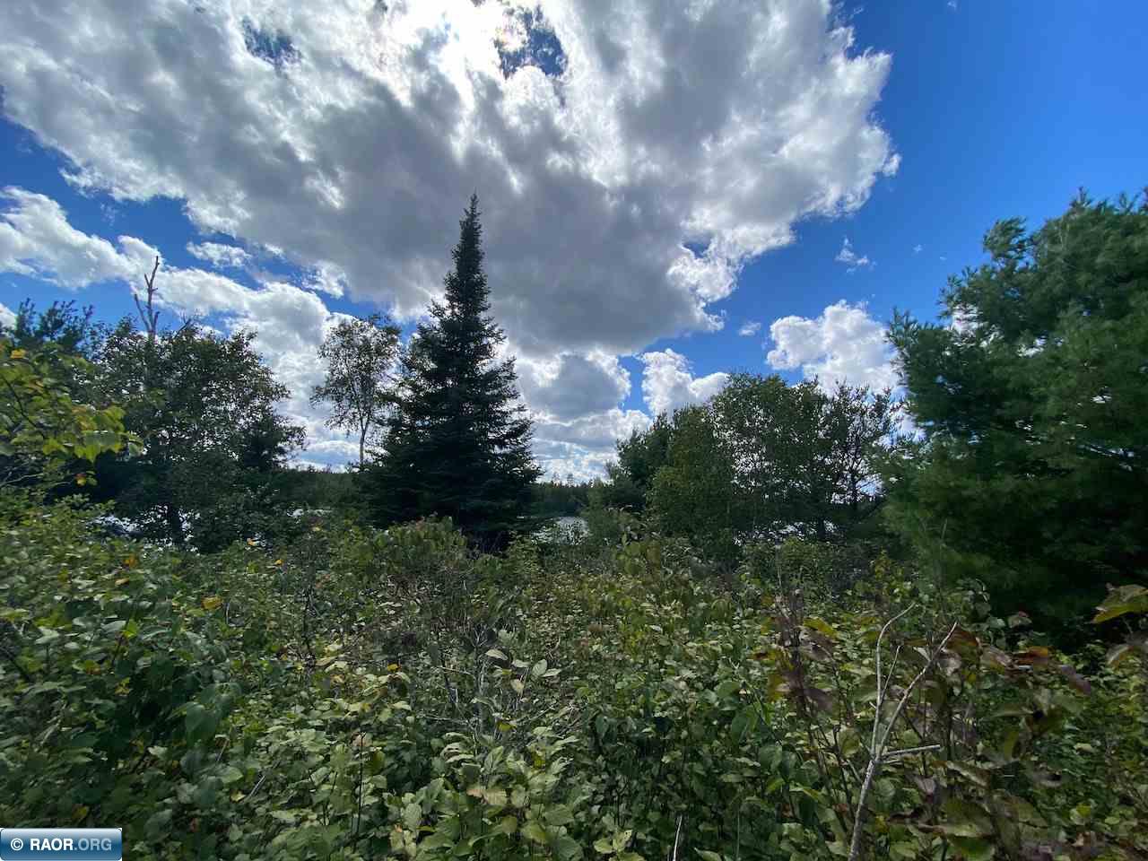 Tbd Lot 9 Wilderness Way Road Orr, MN 55771 - Photo 21 of 27