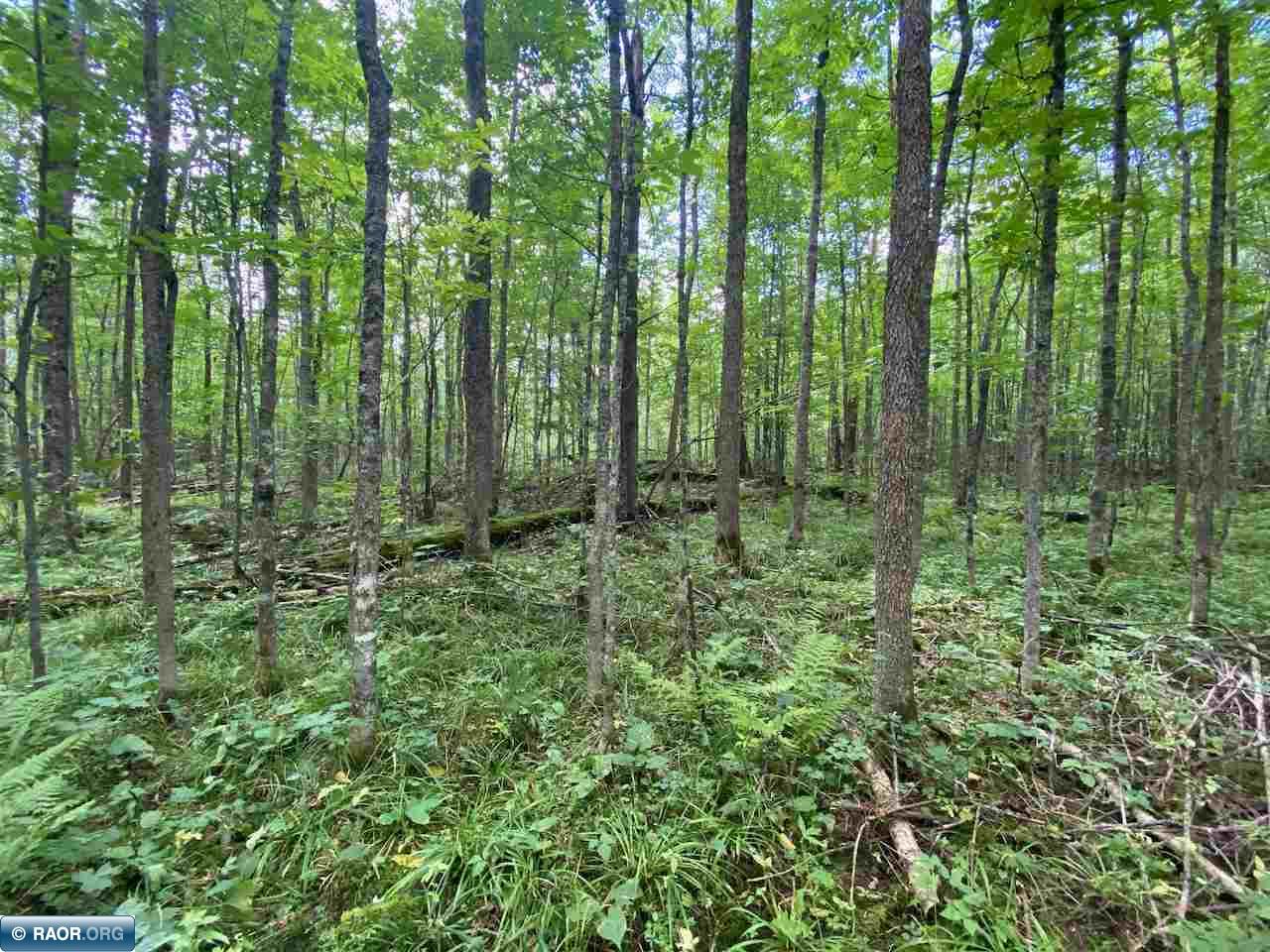 Tbd Lot 9 Wilderness Way Road Orr, MN 55771 - Photo 23 of 27