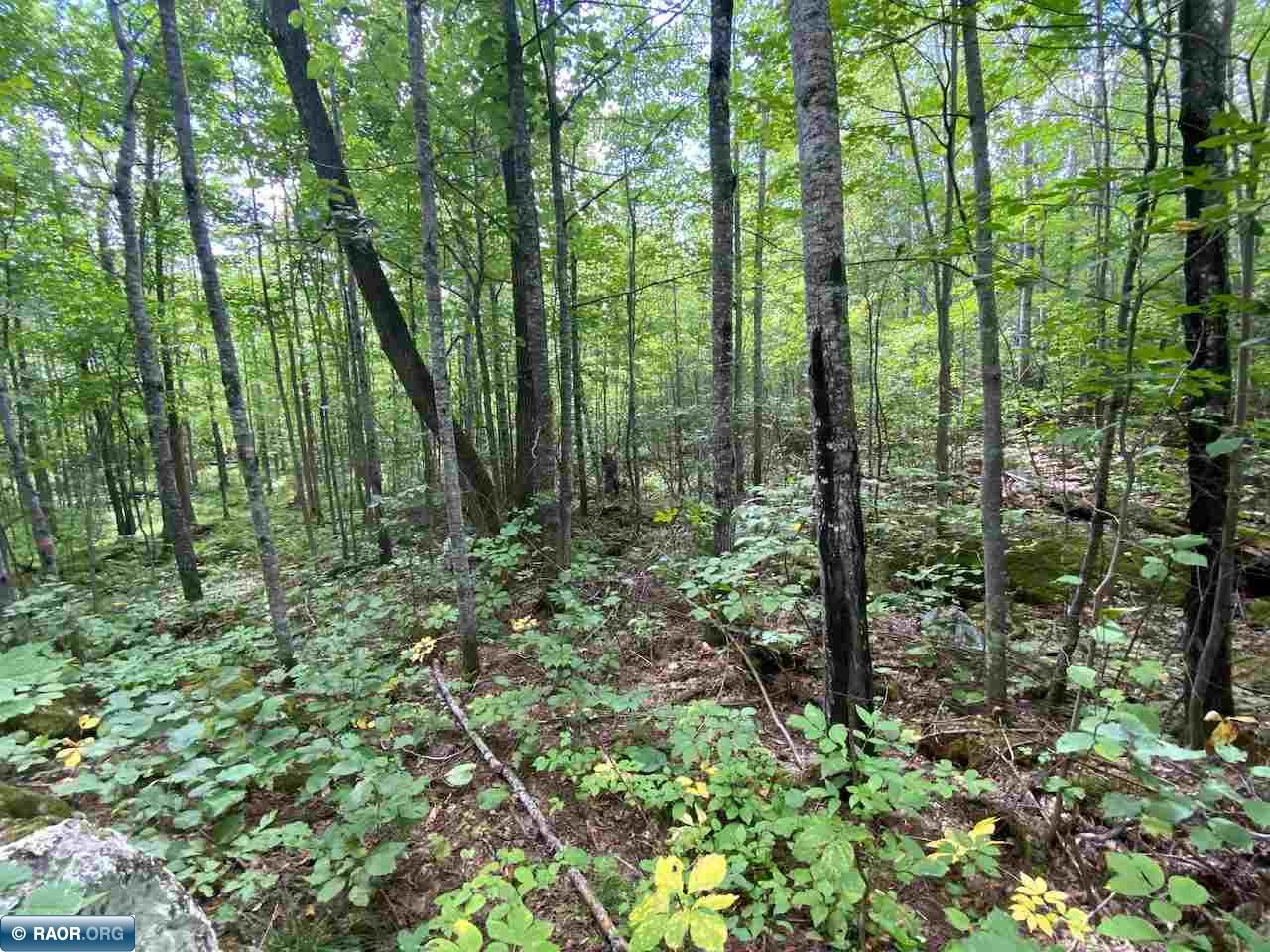 Tbd Lot 9 Wilderness Way Road Orr, MN 55771 - Photo 24 of 27