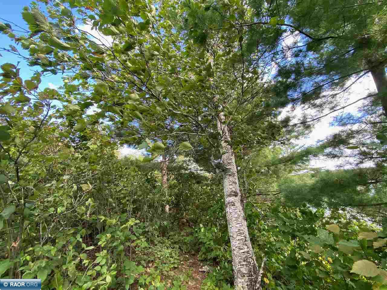 Tbd Lot 9 Wilderness Way Road Orr, MN 55771 - Photo 10 of 27