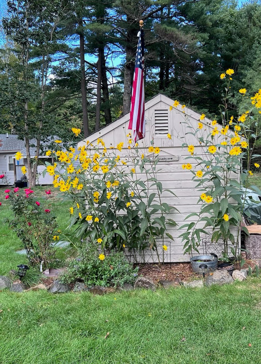 18 Appletree Lane Wells, ME 04090 - Photo 29 of 35 shed