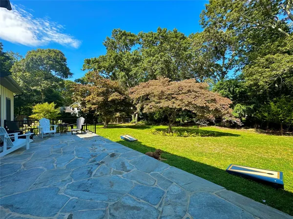 a view of a swimming pool with lawn chairs and plants