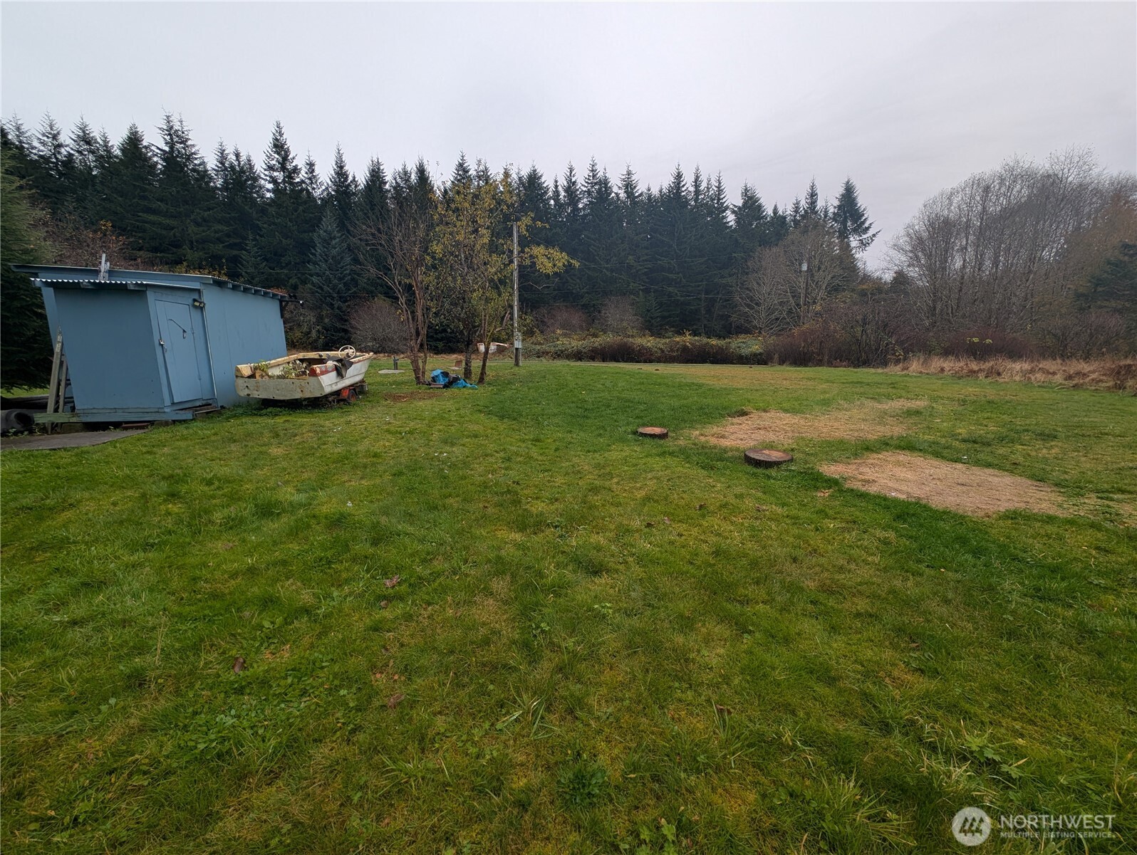 81 Barber Road Clallam Bay, WA 98326 - Photo 11 of 30 a fire hydrant in the middle of a field