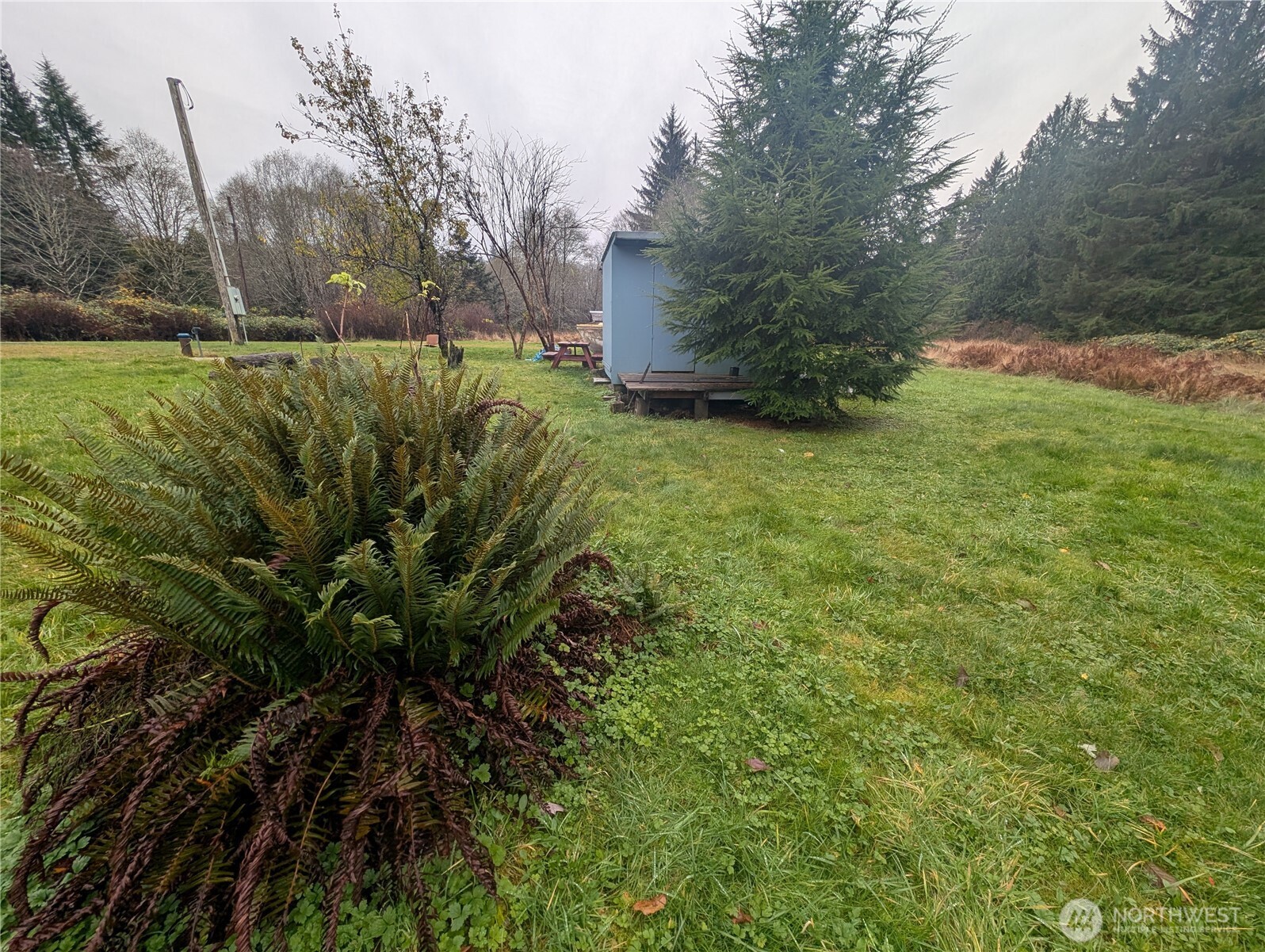 81 Barber Road Clallam Bay, WA 98326 - Photo 13 of 30 a view of a garden with plants