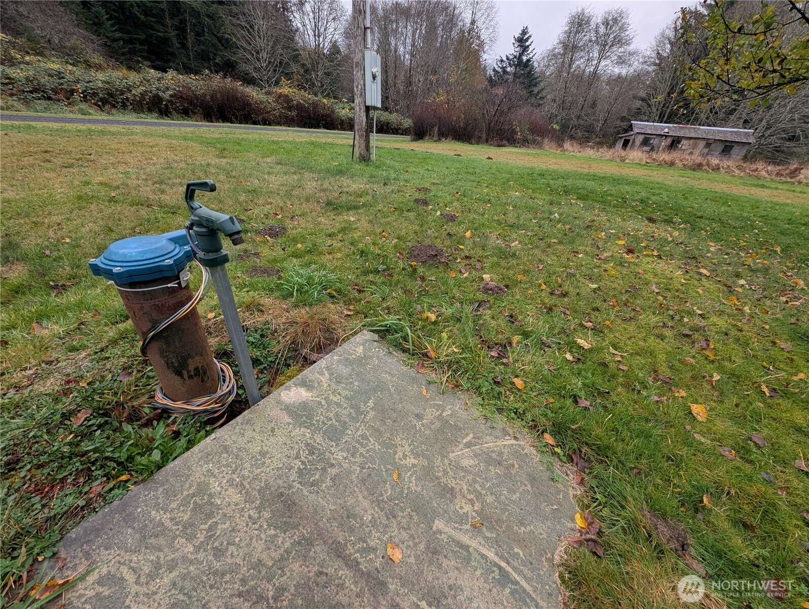 81 Barber Road Clallam Bay, WA 98326 - Photo 16 of 30 a backyard of a house with lots of green space