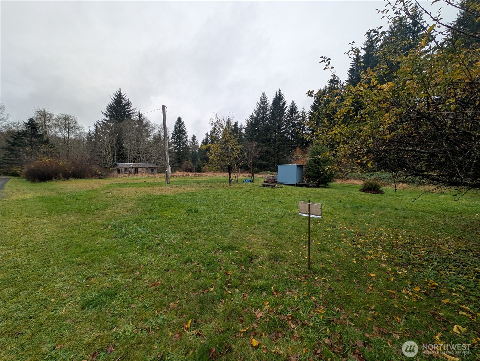 81 Barber Road Clallam Bay, WA 98326 - Photo 17 of 30 a view of a grassy field with trees in the background