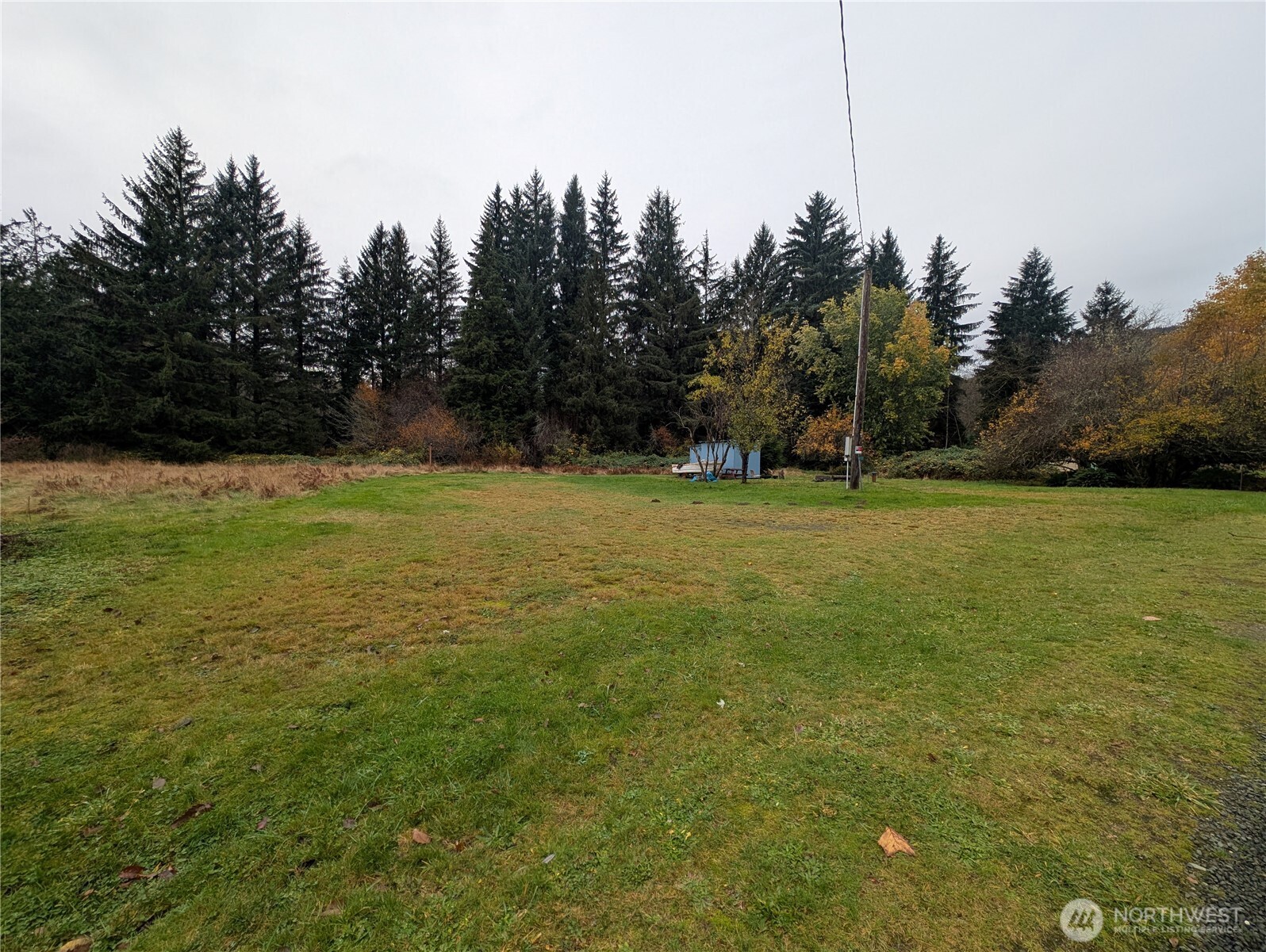 81 Barber Road Clallam Bay, WA 98326 - Photo 19 of 30 a view of a field with trees in the background
