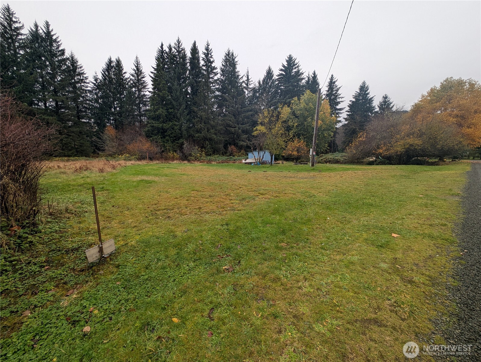 81 Barber Road Clallam Bay, WA 98326 - Photo 2 of 30 a view of a field with trees in the background