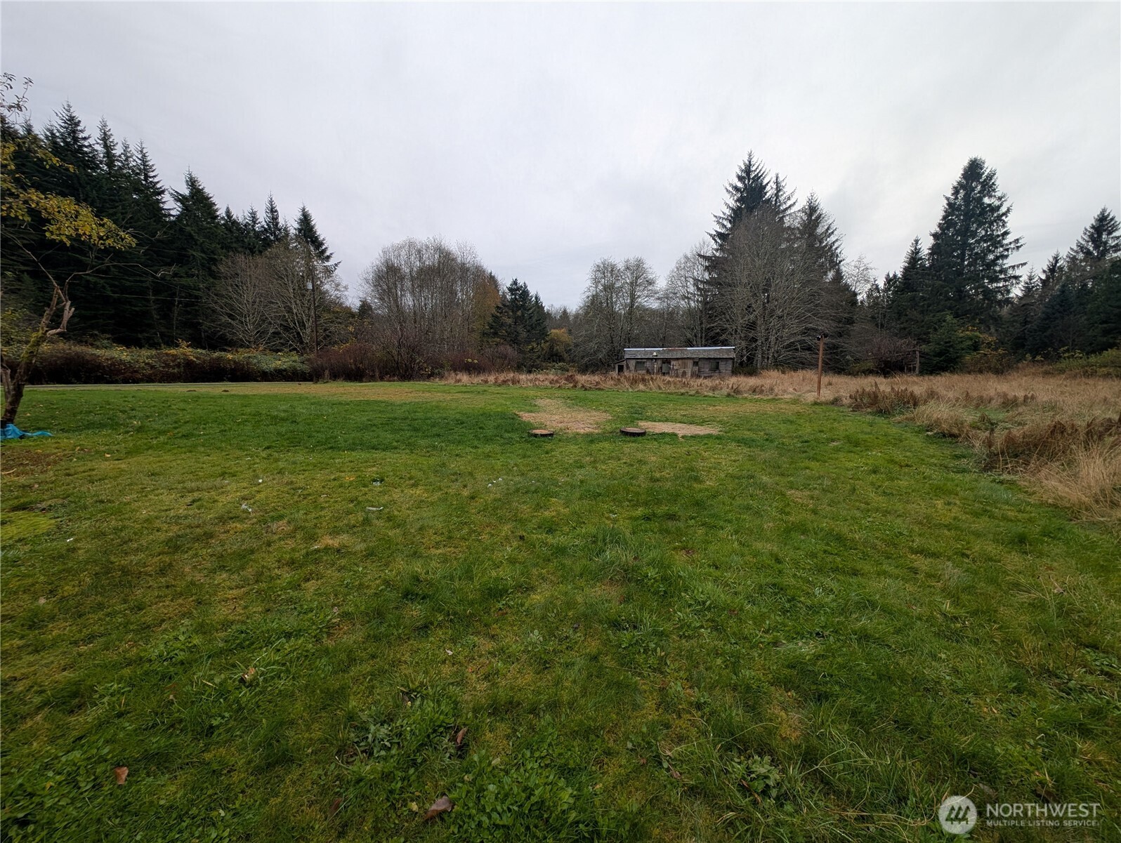 81 Barber Road Clallam Bay, WA 98326 - Photo 21 of 30 a view of field with trees in the background