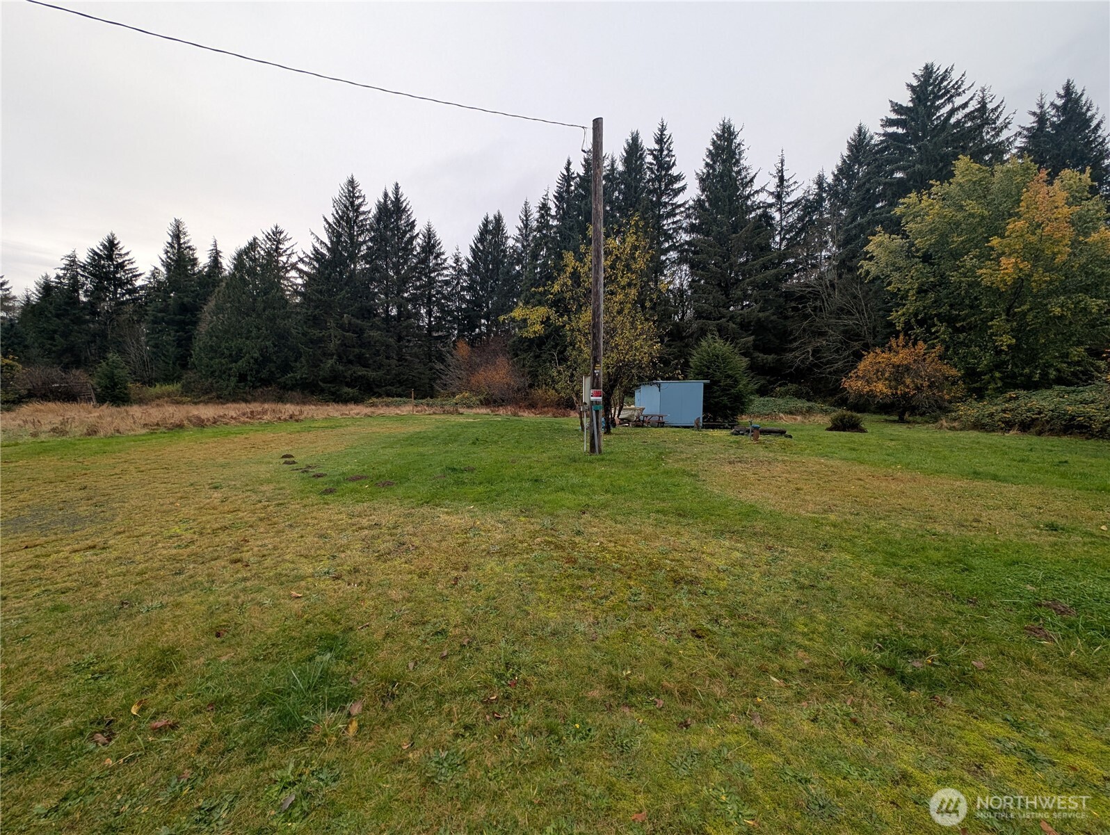 81 Barber Road Clallam Bay, WA 98326 - Photo 26 of 30 a view of a field with a tree in a yard