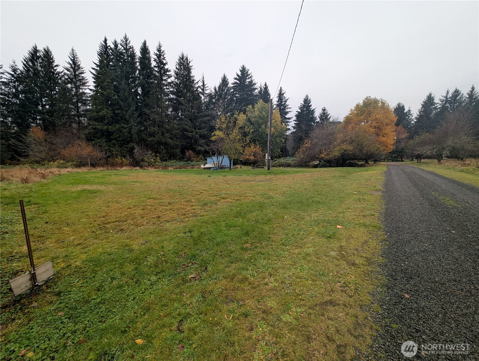 81 Barber Road Clallam Bay, WA 98326 - Photo 28 of 30 a view of a field with trees in the background