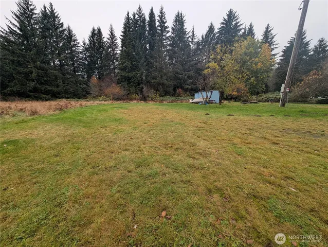 a view of a green yard with trees