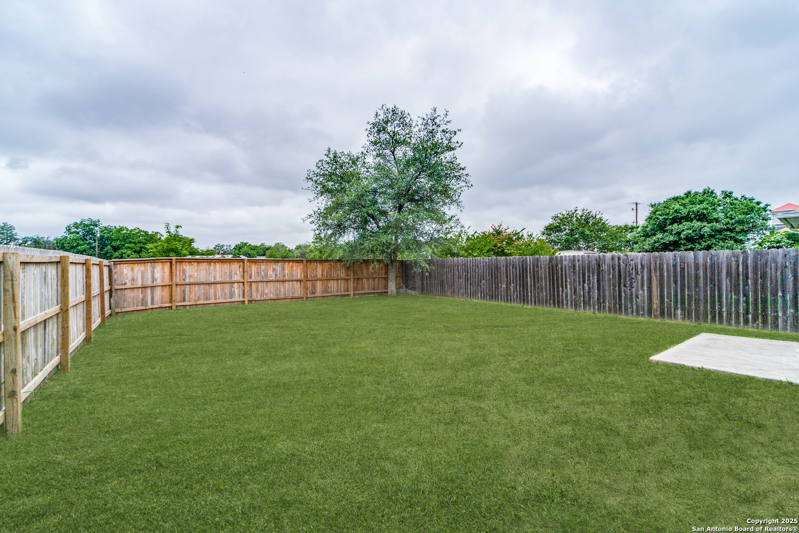 133 Hampton Cove Boerne, TX 78006 - Photo 23 of 24 a view of a backyard with a garden