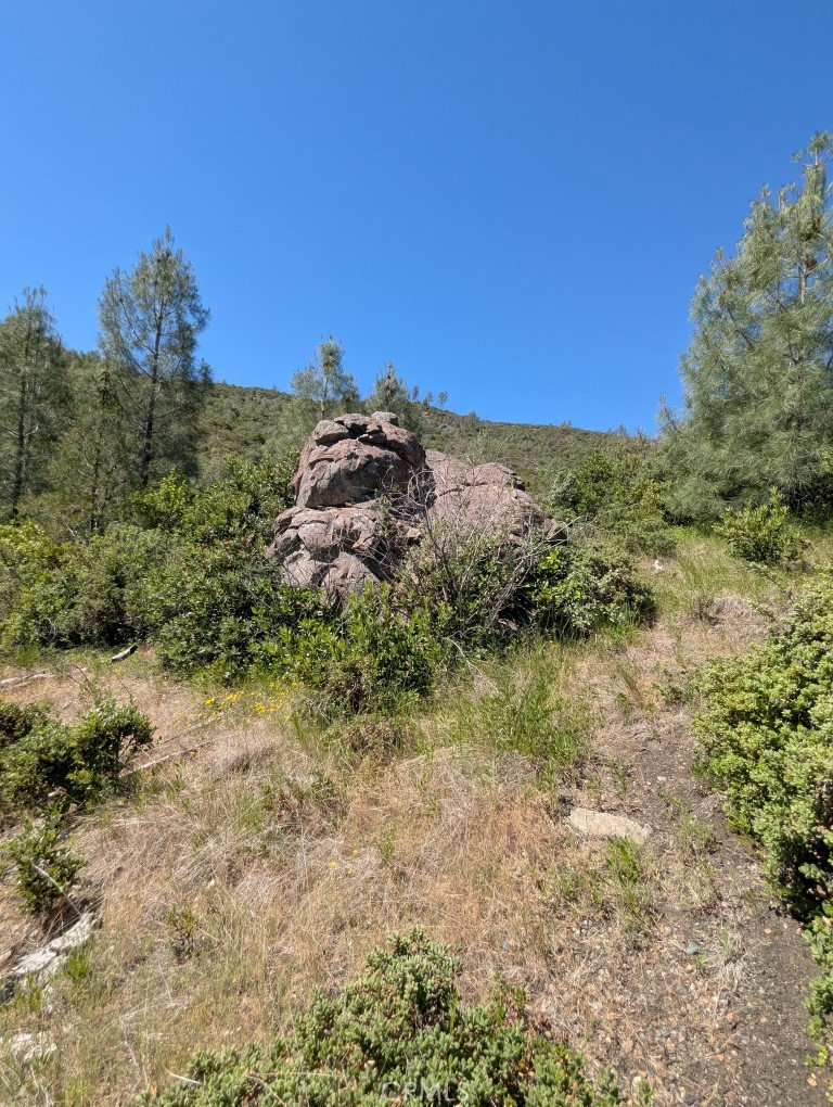 0 Toomes Camp Road Red Bluff, CA 96080 - Photo 25 of 26 a view of a field with a tree