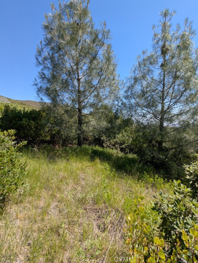 0 Toomes Camp Road Red Bluff, CA 96080 - Photo 26 of 26 a view of a lake view