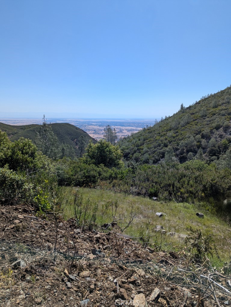 0 Toomes Camp Road Red Bluff, CA 96080 - Photo 4 of 26 a view of a field with trees in background