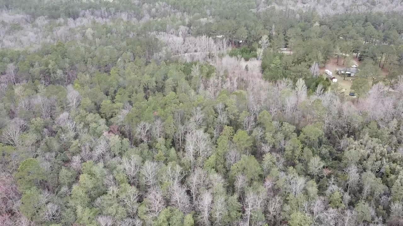 Scottish Lane Bay Minette, AL 36507 - Photo 15 of 25
