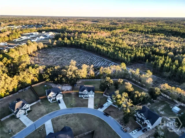 $455,000 | 233 Brookhaven Loop Northeast, Ludowici, GA 31316