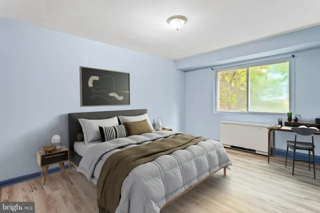 a view of a park with large trees