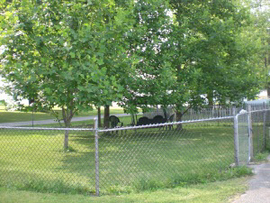 1407 Hillcrest Road Bedford, IN 47421 - Photo 11 of 11 Gallery Image 11