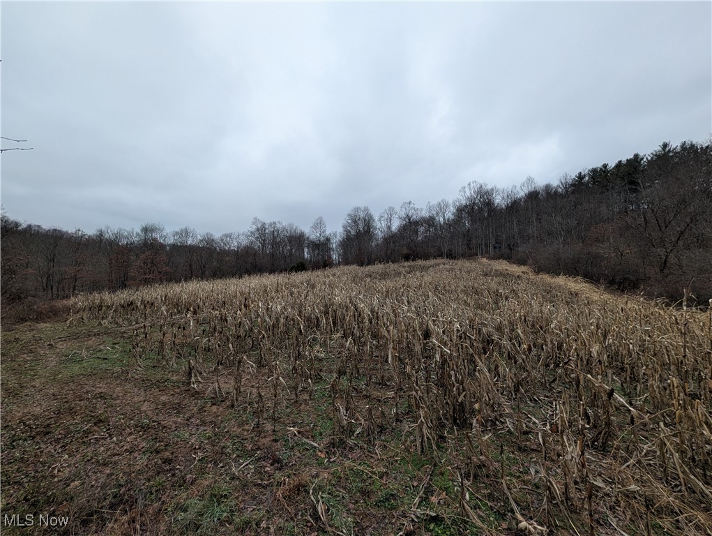 Brown Peavine Road Alledonia, OH 43902 - Photo 7 of 50