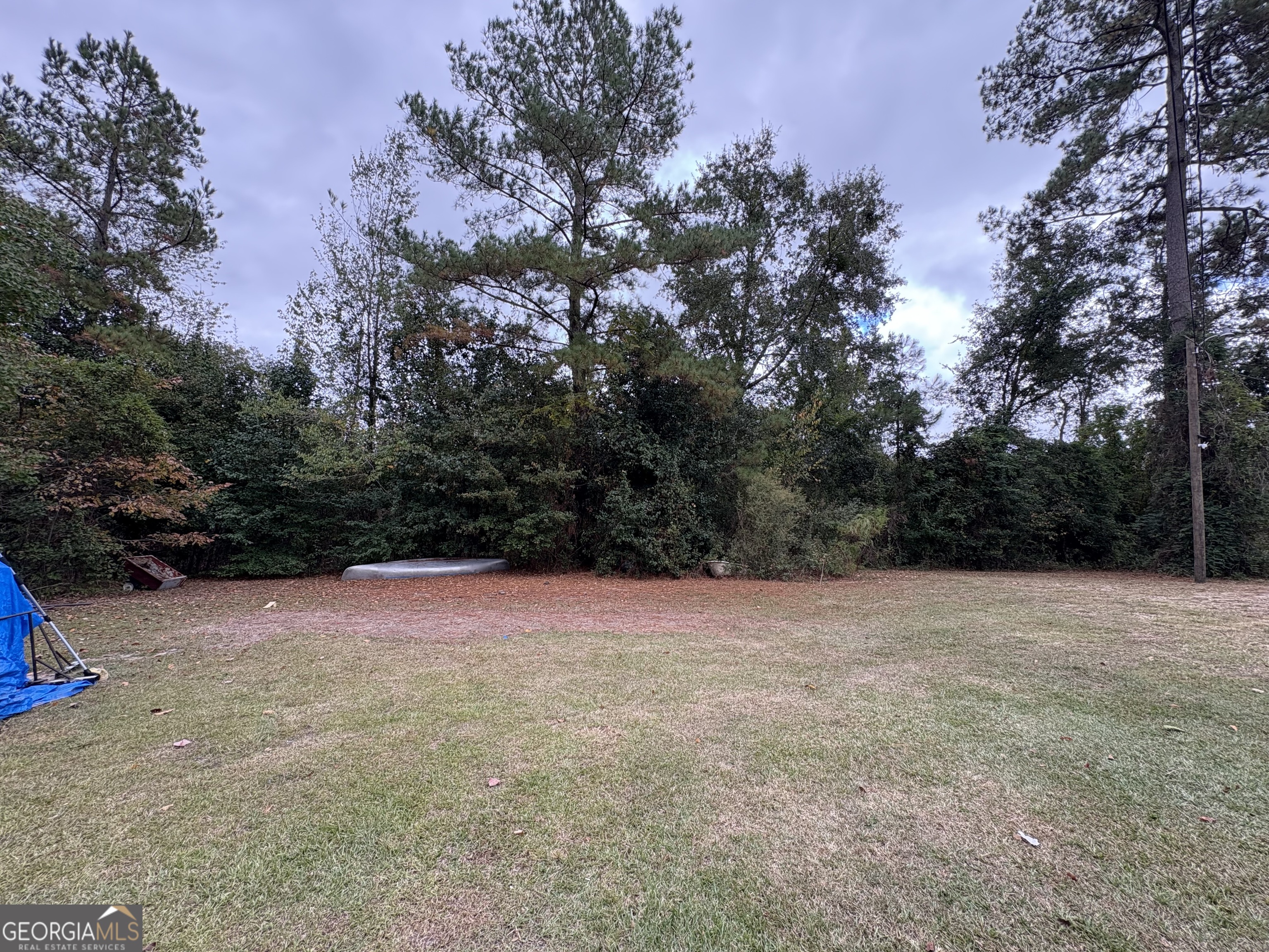6005 Miltie Street Albany, GA 31705 - Photo 15 of 18 a view of outdoor space with trees