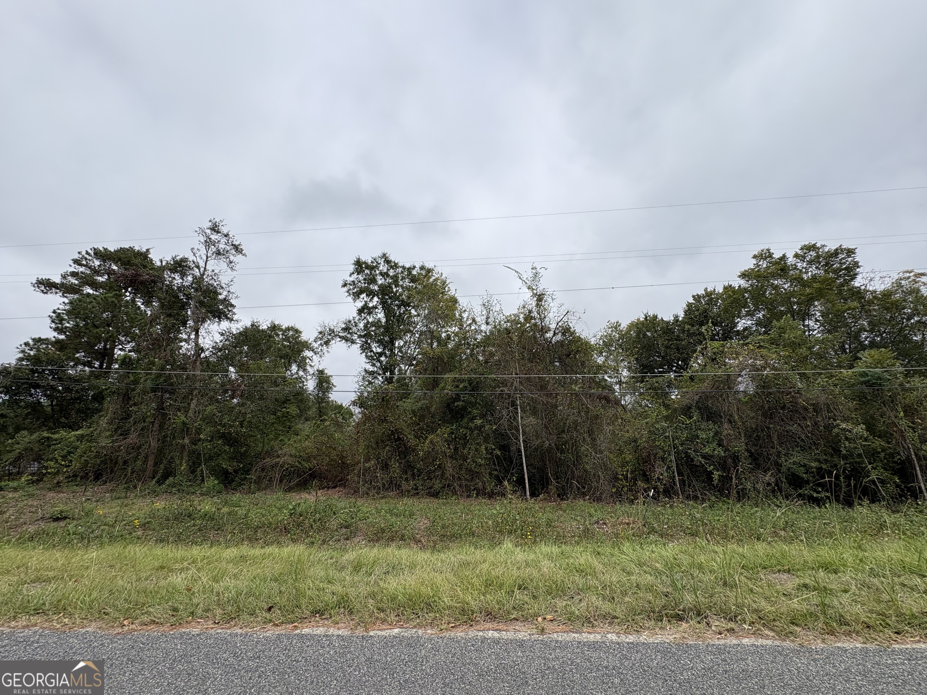 6005 Miltie Street Albany, GA 31705 - Photo 17 of 18 a view of a grassy field with trees in the background