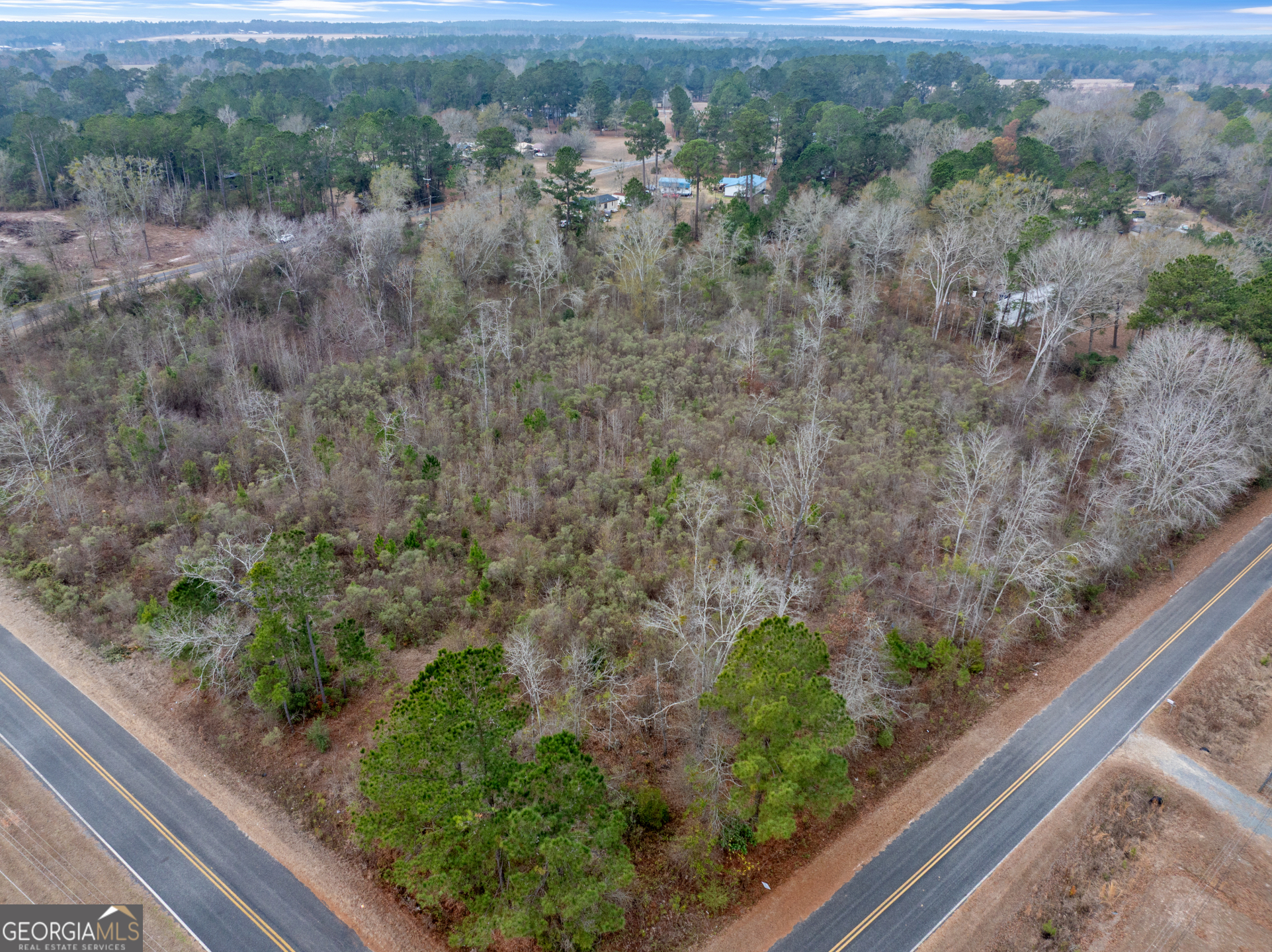 6005 Miltie Street Albany, GA 31705 - Photo 9 of 18 a view of a forest from a window