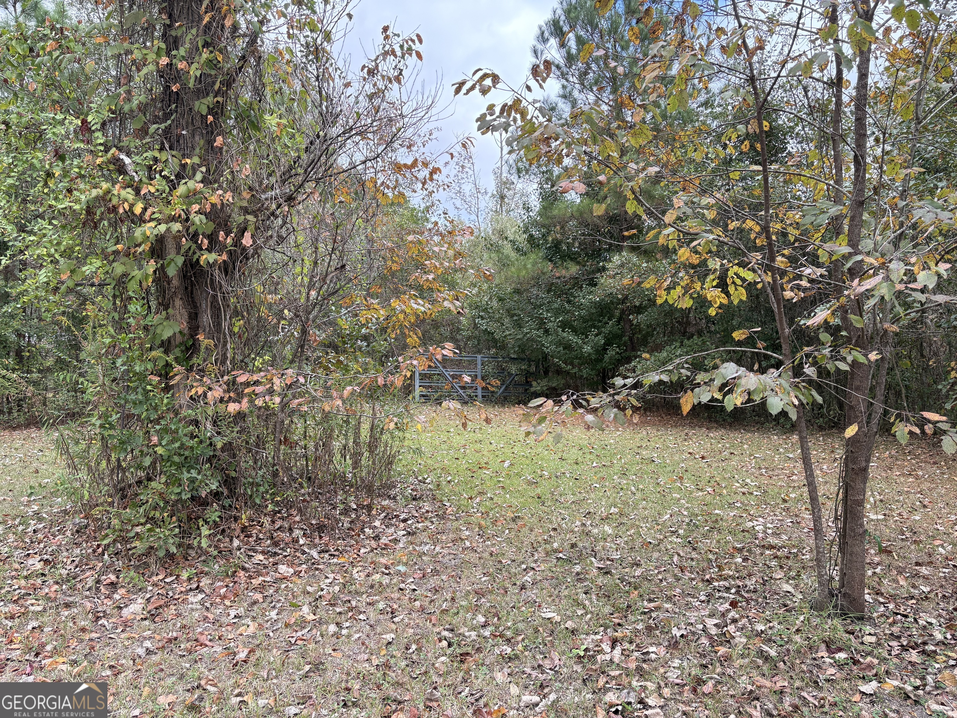6005 Miltie Street Albany, GA 31705 - Photo 10 of 18 a view of a yard with a tree