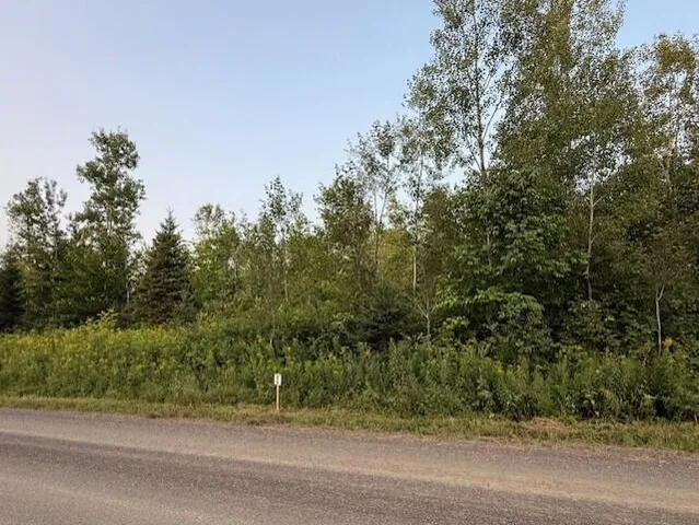 $29,500 | C McDonald Road, Mapleton, ME 04757