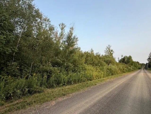 $29,500 | C McDonald Road, Mapleton, ME 04757