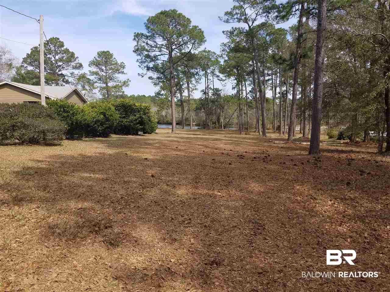 Lot 60 Clarke Ridge Road Foley, AL 36535 - Photo 10 of 12