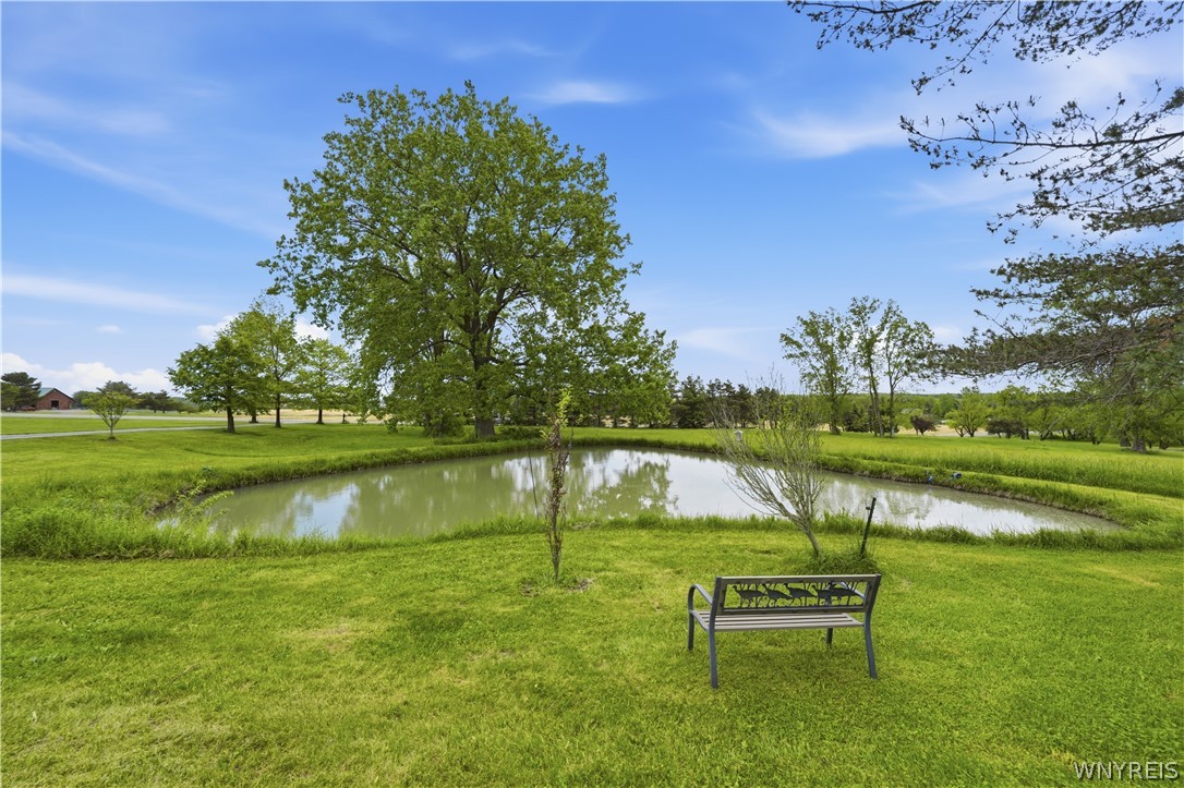 9950 Harper Road Darien, NY 14036 - Photo 7 of 50 Beautiful pond