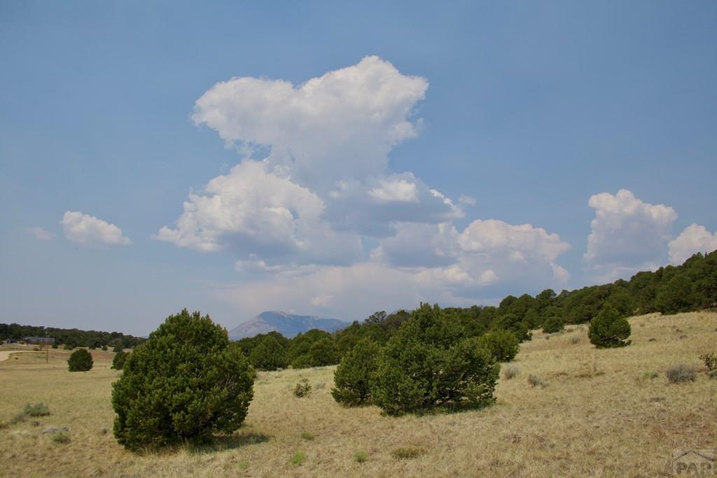 Unit #4 Unit Road Walsenburg, CO 81089 - Photo 25 of 36