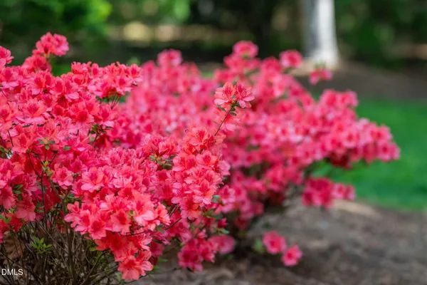 $869,000 | 105 Fifemoor Court, Cary, NC 27518