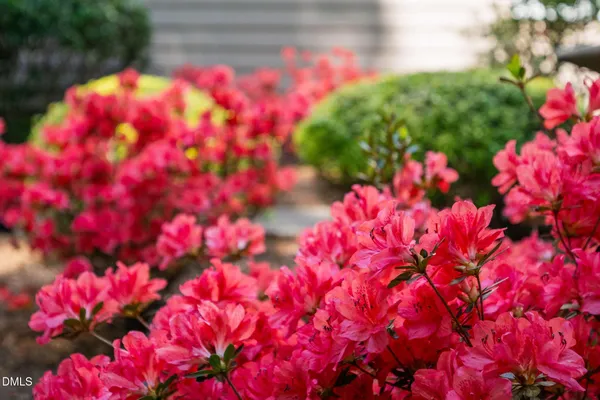 $869,000 | 105 Fifemoor Court, Cary, NC 27518